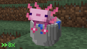 Axolotl in a Bucket Animation