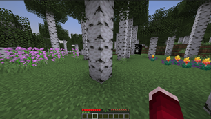 Thumbnail.png