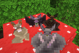 Tameable bats that can sit down!