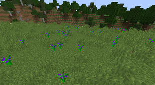 Бальзамовые растения