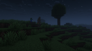 The night walker