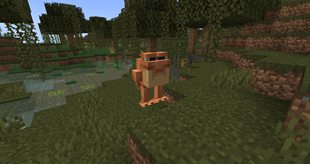 Frogman