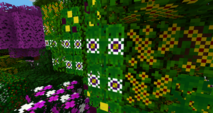 2025-02-23_01.33.33.png