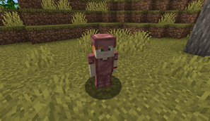 wolf armor