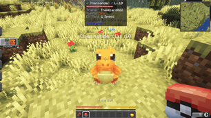 Pokemon Legacy