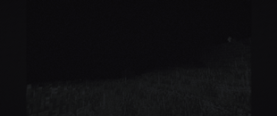 White figure