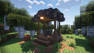 Rustic Well