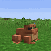 frog.gif