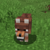 dog.gif