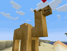 camel.gif