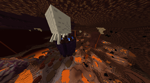 Nether biome 4
