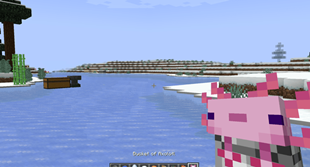 4c08516f-9d2f-4de5-98ce-207fdd10fcb9_image2[1].png