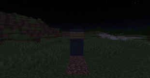 Grave