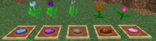 2. image.png