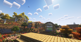 Shaders