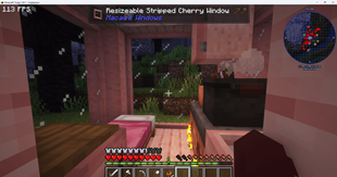 Minecraft_ 1.20.1 1.04.2025 23_08_05.png