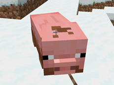 new dirt pig