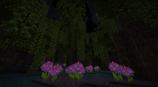 Midnight Lilies in a Mangrove Swamp