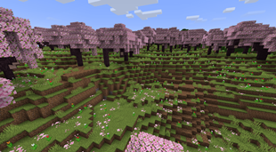 Cherry Grove Changes