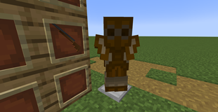 Chitine Armor