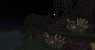 White flickering fireflies