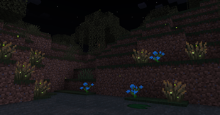 Green flickering fireflies