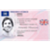 In game driver's license