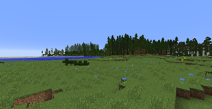 More Terrain