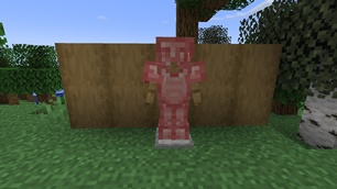 Full Set of Rose Gold Armor