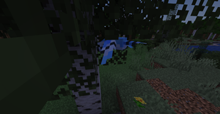 Bluejay