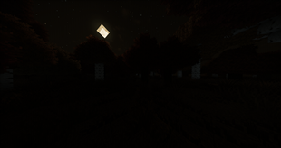 The night