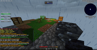 Random Block ingame