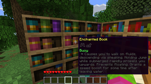Enchanted book tooltip with chiseled bookshelf peeking