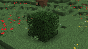 Darker Dark Oak Leaves.png