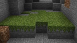 Moss Carpets Overhang.png