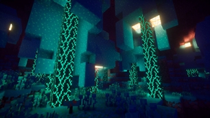 Warped Forest