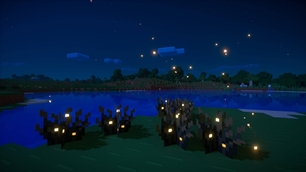 Firefly Bushes