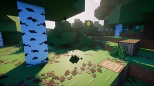 1.21.5 Forest 2