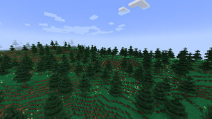 The New Pine Forest!!!