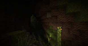 Jungle Caves