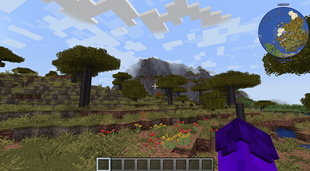 overworld
