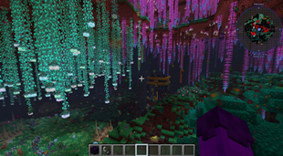 nether