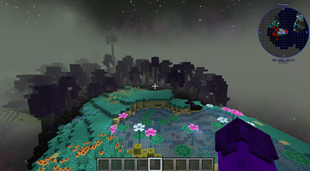 the end
