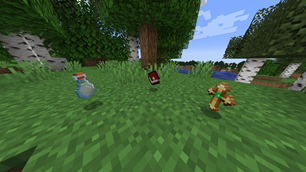 Custom Items