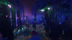 More End Biomes