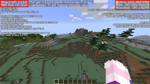 Vanilla Forge (no mods)