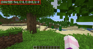 Even more FPS with F3 disabled!