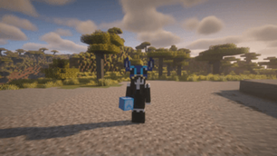 "Nobody gets left behind"