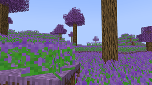 LavanderFields.png