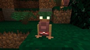 10 Nibbler.jpg
